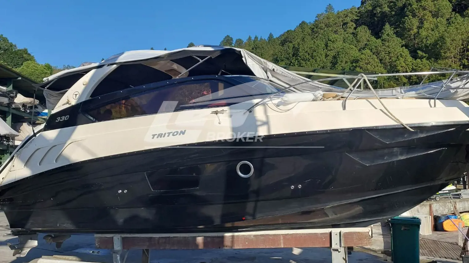 Daycruiser Cabinada